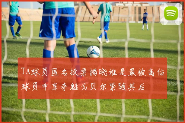 TA球员匿名投票揭晓谁是最被高估球员申京夺魁戈贝尔紧随其后